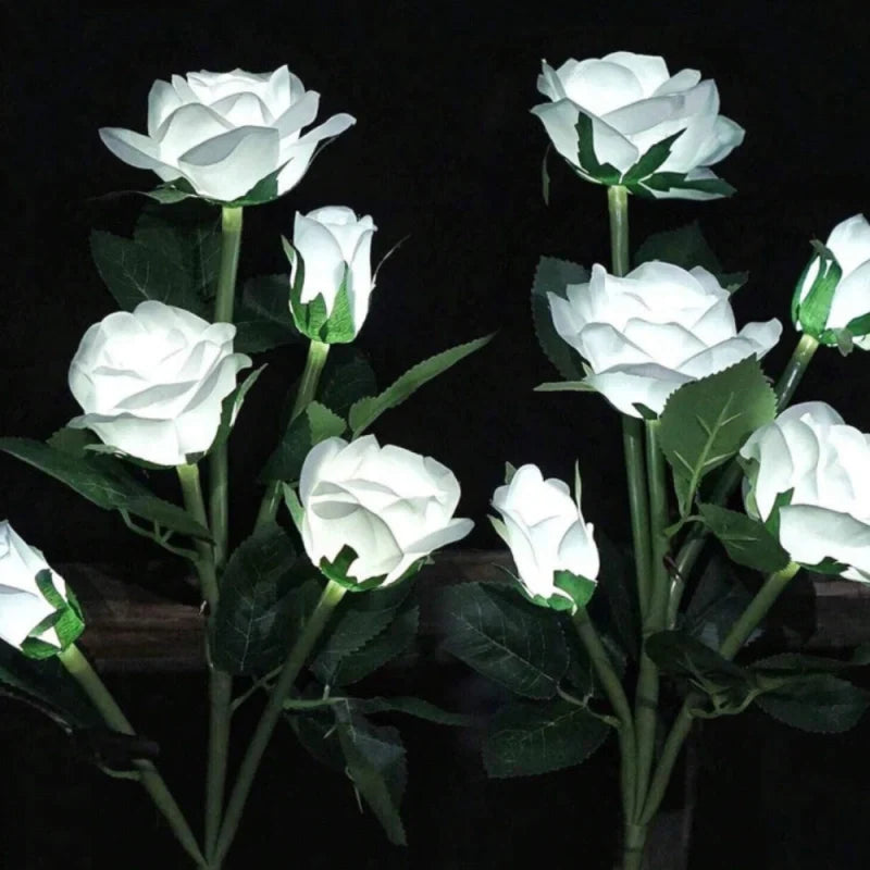 Everbloom™ Luminous Solar Flowers