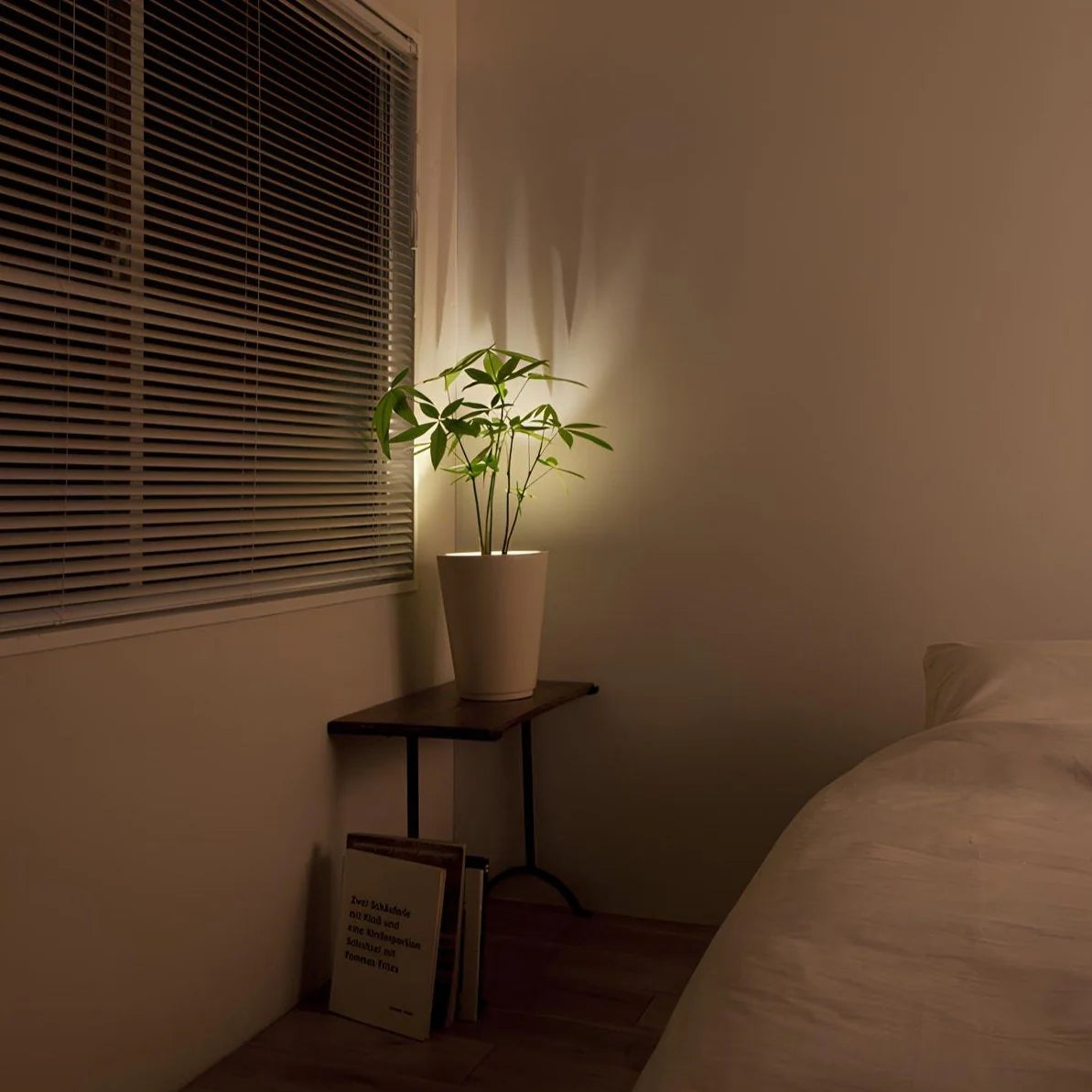Easystick™ Spotlight