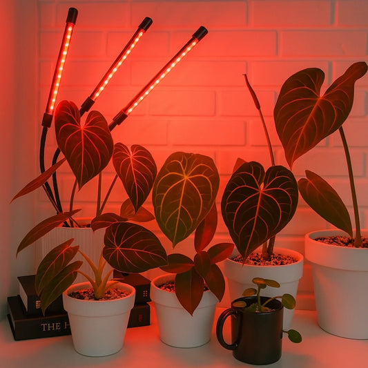 FloraFlare™ Luz de cultivo