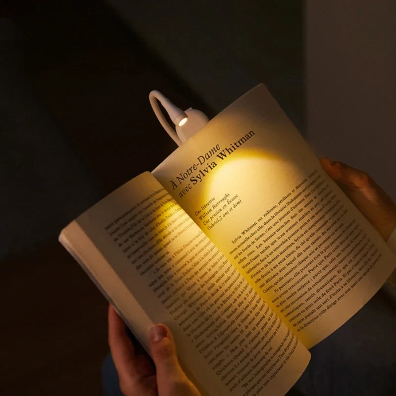 Luz para leer libros