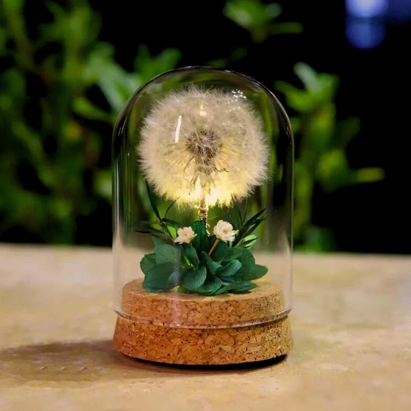 Eternabloom™ Night Light