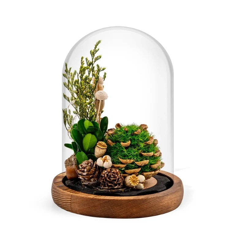 Eternabloom™ Night Light