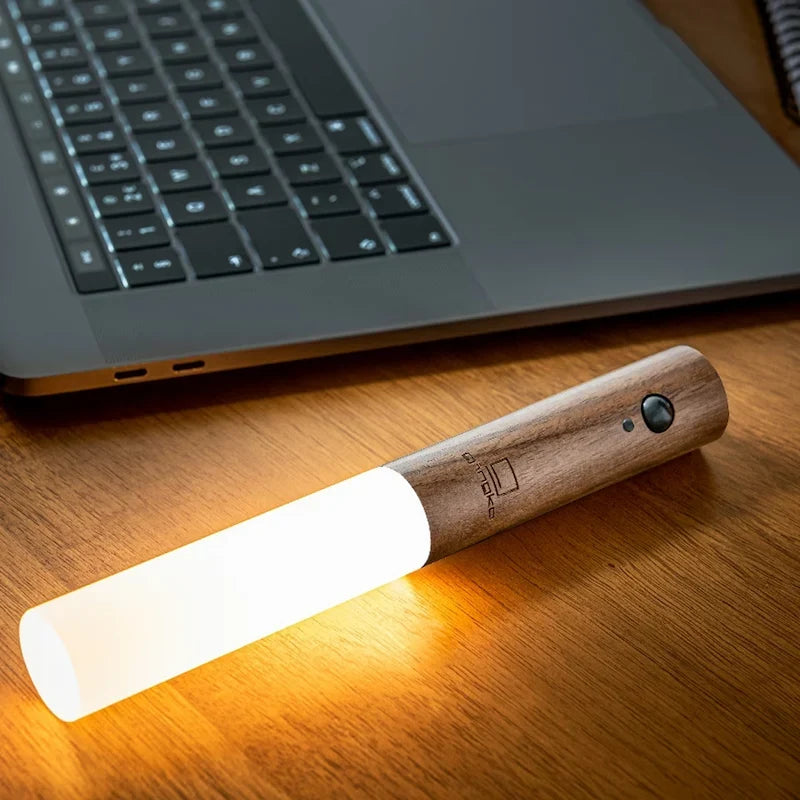 Modern torch with moving flame effect