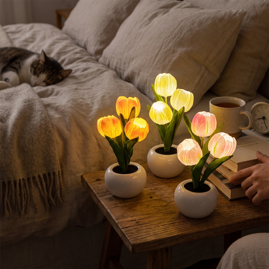 Lifestyle product image