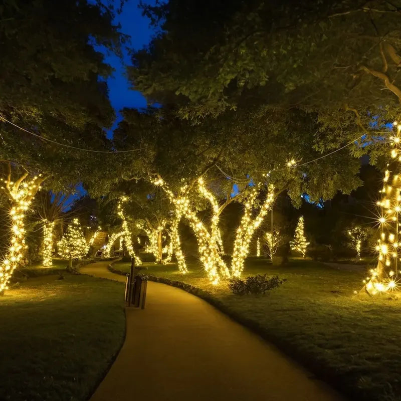 Solar fairy string lights